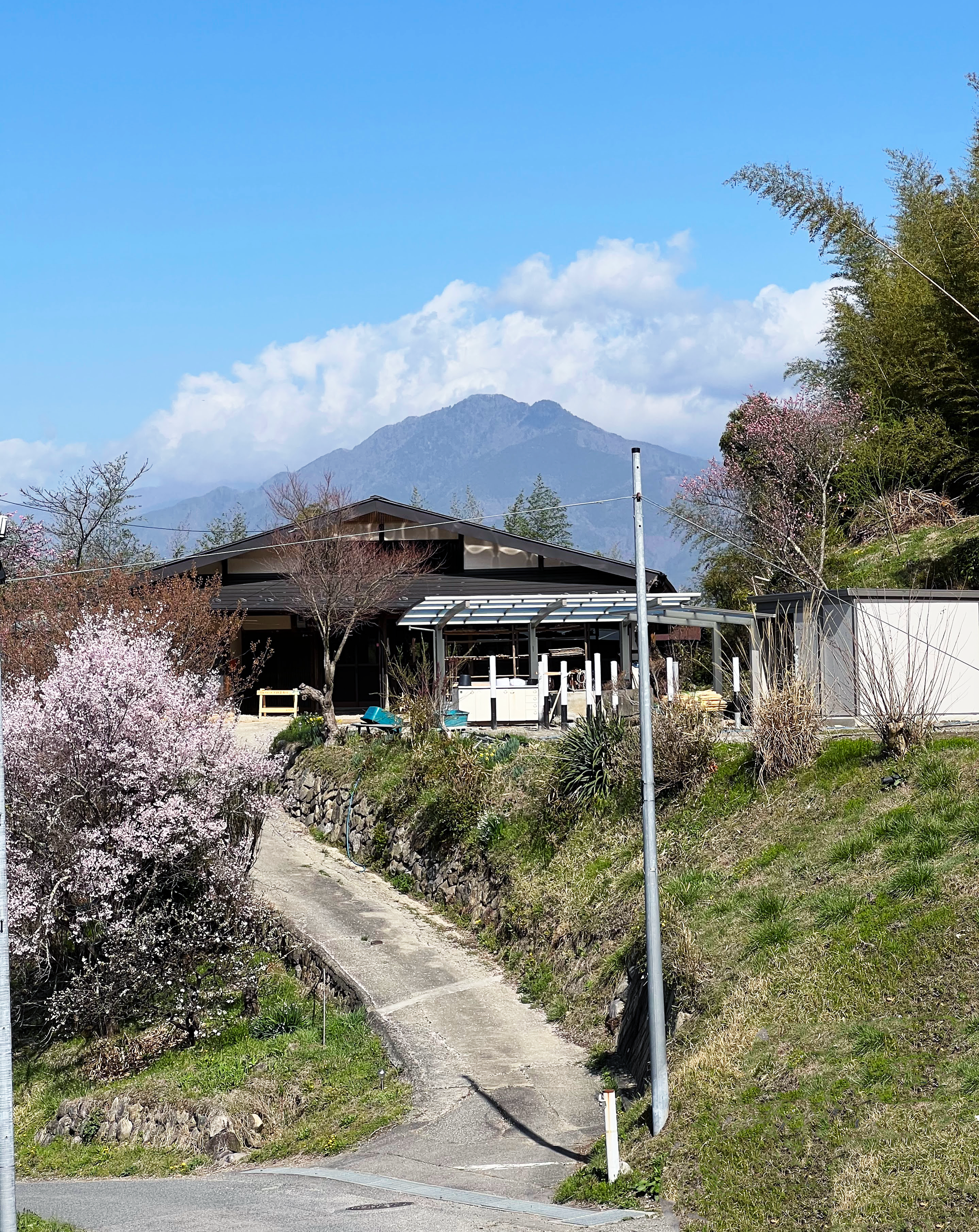 道路からの工房風景（春）